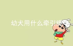 幼犬用什么牵引绳