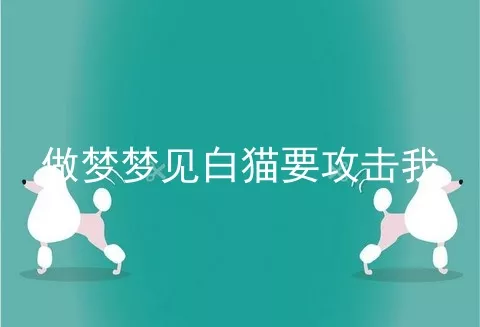 做梦梦见白猫要攻击我