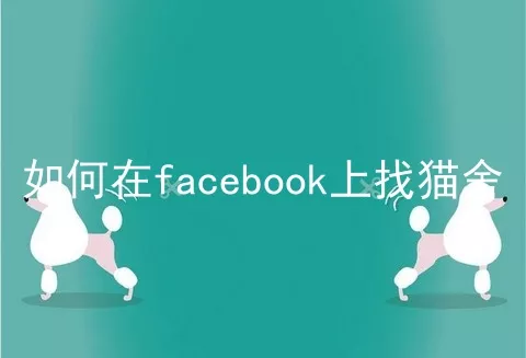 如何在facebook上找猫舍