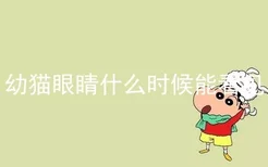 幼猫眼睛什么时候能看见