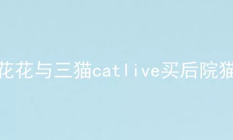 花花与三猫catlive买后院猫