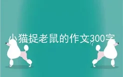 小猫捉老鼠的作文300字