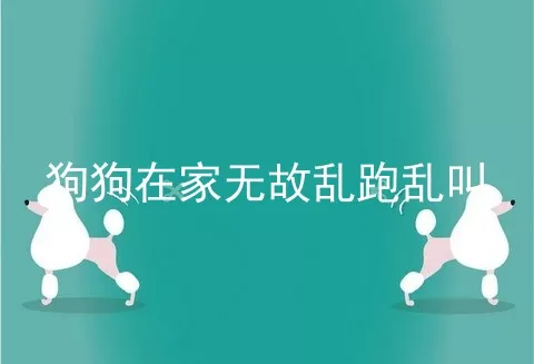 狗狗在家无故乱跑乱叫