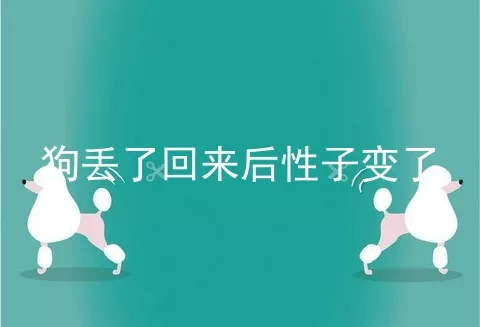 狗丢了回来后性子变了