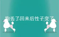 狗丢了回来后性子变了