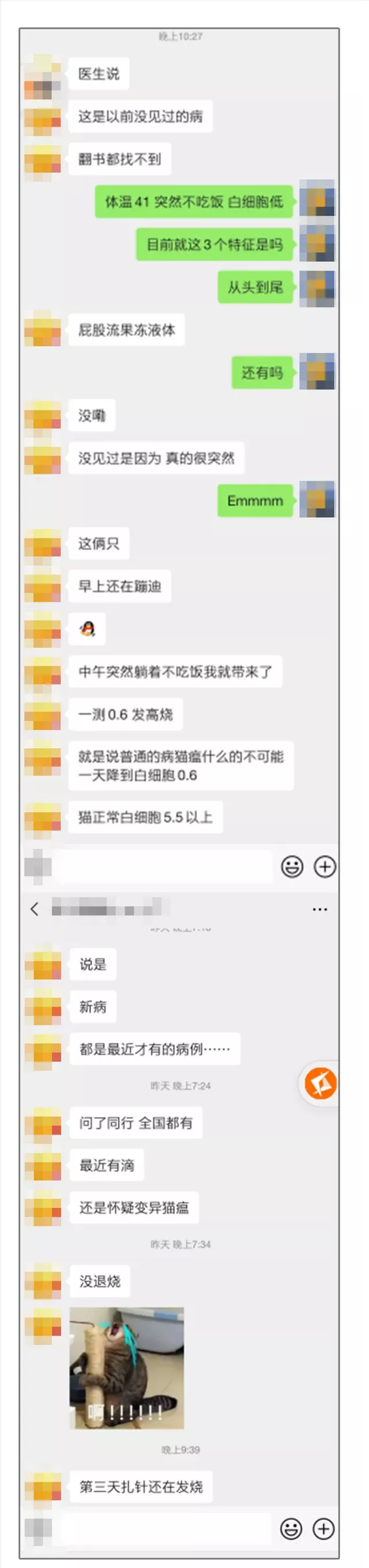 fpv猫瘟准吗(fpv猫瘟检测卡怎么看)