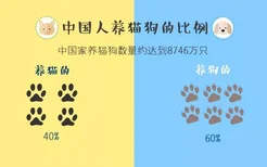 养猫VS养狗，这两类人的差异你一定想不到