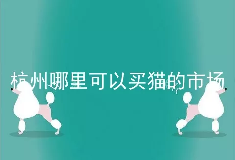 杭州哪里可以买猫的市场