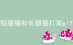 短腿猫和长腿猫打架gif