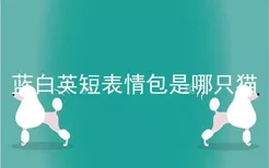 蓝白英短表情包是哪只猫