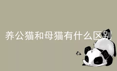 养公猫和母猫有什么区别