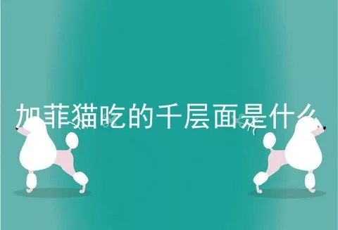 加菲猫吃的千层面是什么