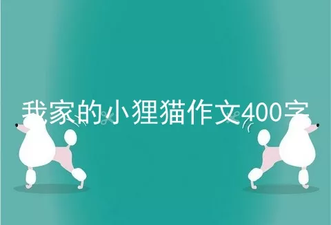 我家的小狸猫作文400字