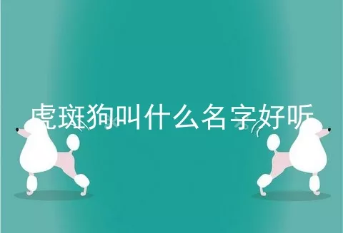 虎斑狗叫什么名字好听