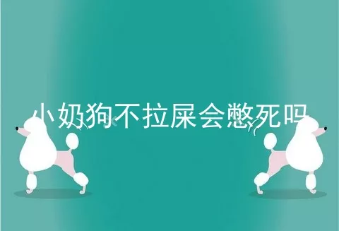 小奶狗不拉屎会憋死吗