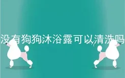 没有狗狗沐浴露可以清洗吗