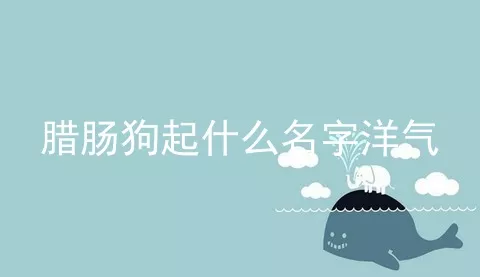 腊肠狗起什么名字洋气