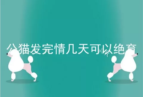 公猫发完情几天可以绝育