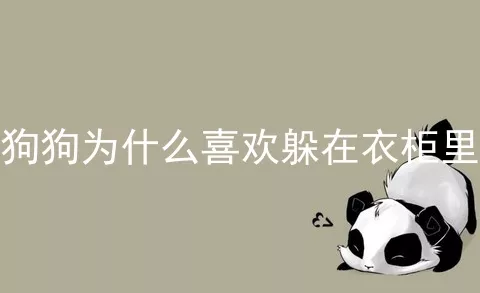 狗狗为什么喜欢躲在衣柜里