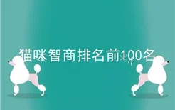 猫咪智商排名前100名