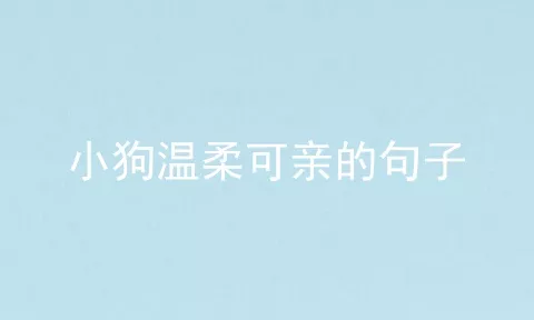 小狗温柔可亲的句子