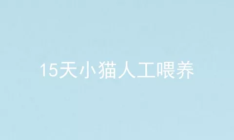 15天小猫人工喂养