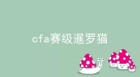 cfa赛级暹罗猫