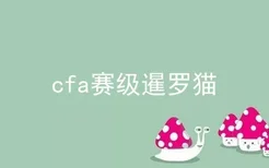 cfa赛级暹罗猫