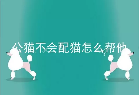 公猫不会配猫怎么帮他