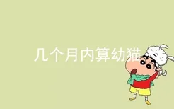 几个月内算幼猫