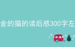 老舍的猫的读后感300字左右