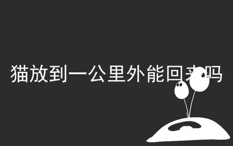 猫放到一公里外能回来吗