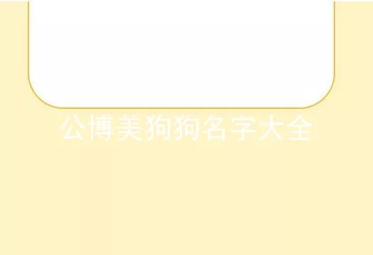 公博美狗狗名字大全