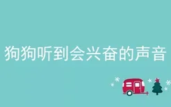 狗狗听到会兴奋的声音