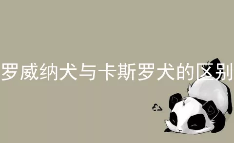 罗威纳犬与卡斯罗犬的区别