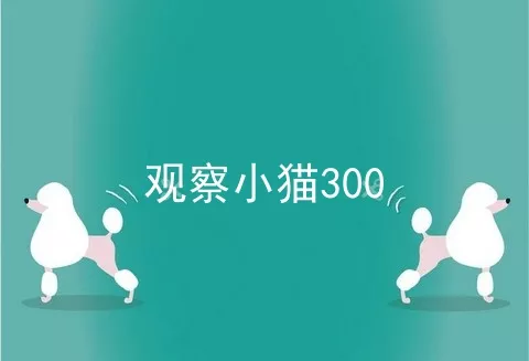 观察小猫300