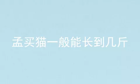 孟买猫一般能长到几斤