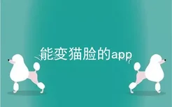 能变猫脸的app