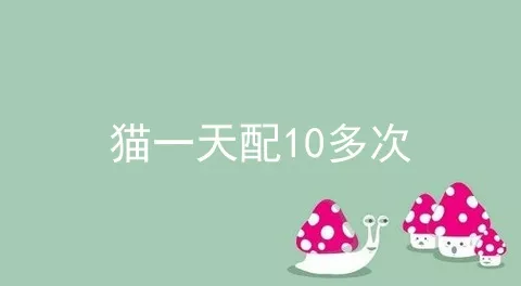 猫一天配10多次