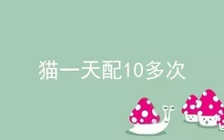 猫一天配10多次