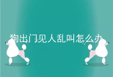 狗出门见人乱叫怎么办