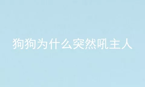 狗狗为什么突然吼主人