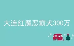 大连红魔恶霸犬300万