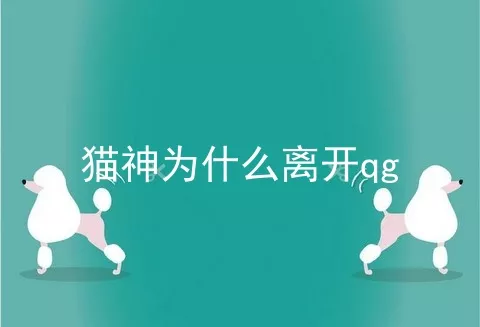 猫神为什么离开qg