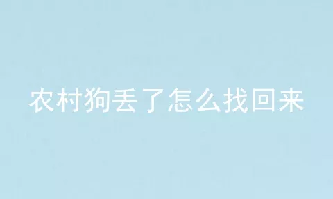 农村狗丢了怎么找回来