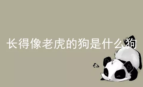 长得像老虎的狗是什么狗