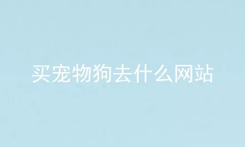 买宠物狗去什么网站