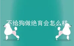 不给狗做绝育会怎么样