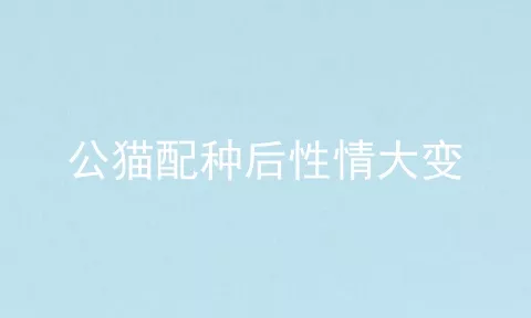 公猫配种后性情大变