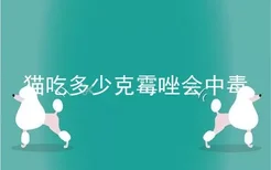 猫吃多少克霉唑会中毒